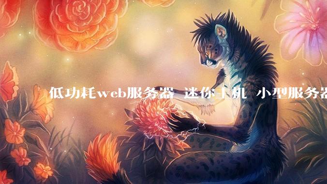 低功耗web服务器 迷你主机 小型服务器 求推荐？