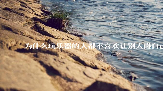 为什么玩乐器的人都不喜欢让别人碰自己的乐器？